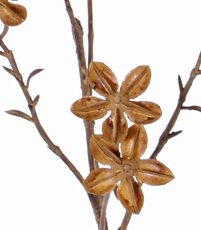 Star anise - Natural - 63 cm - 3