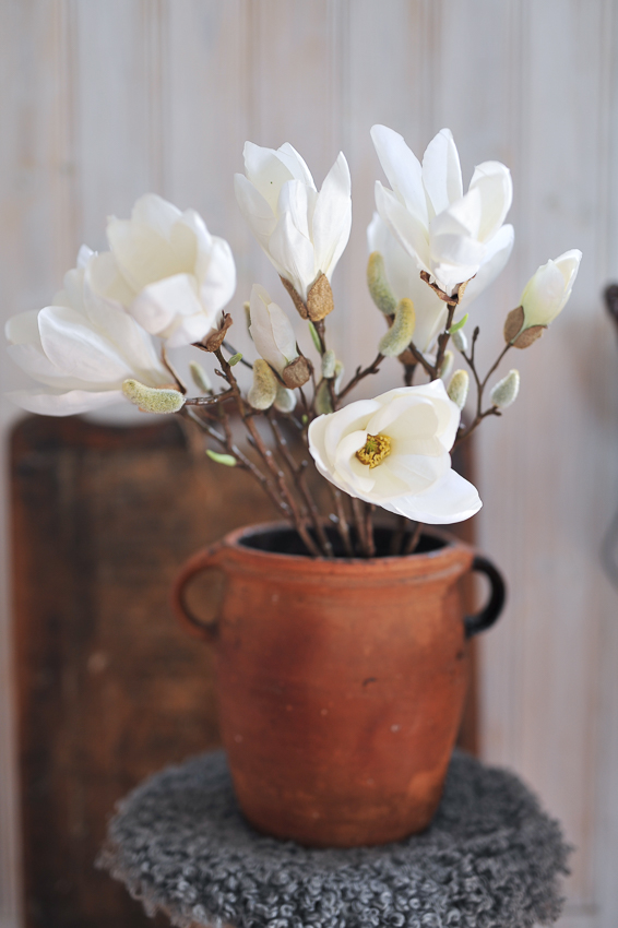 Magnolia - White - 65 cm - 2