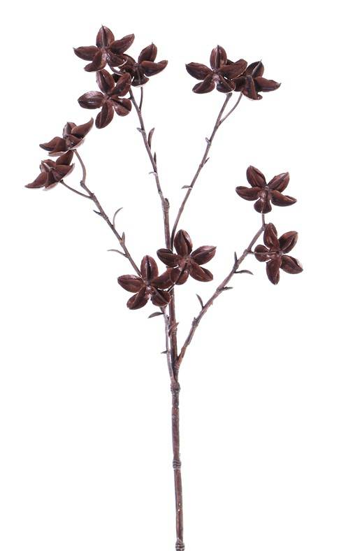 Star anise - Dark - 63 cm - 2