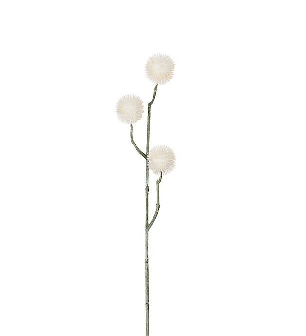 Eternell - 50 cm - 3