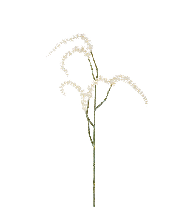 Eternell - 55 cm - 2