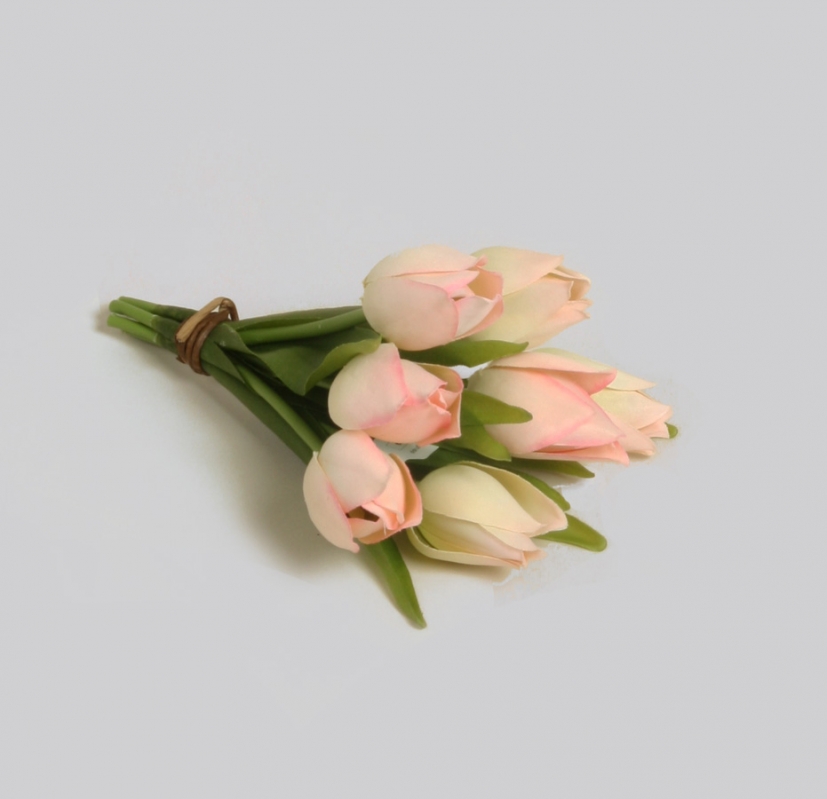 Tulip bouquet - Tulips - Pink - 20 cm - 2