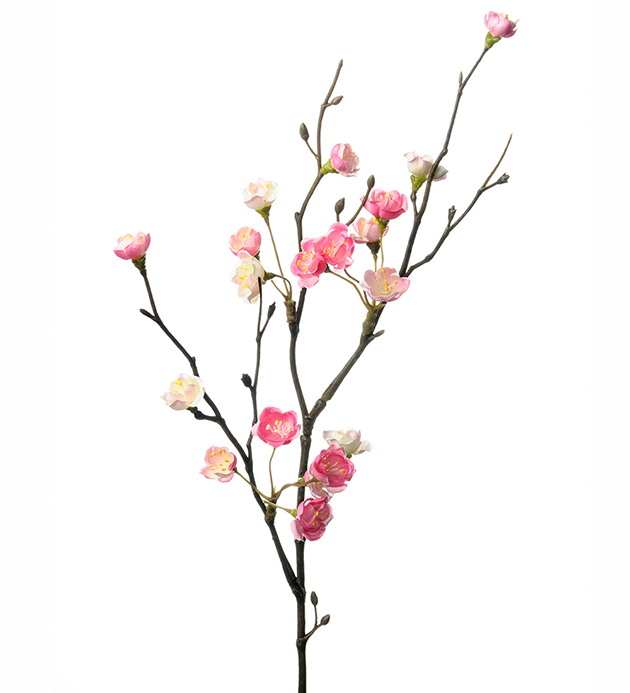 Blomkvist - Rosa - 50 cm - 4