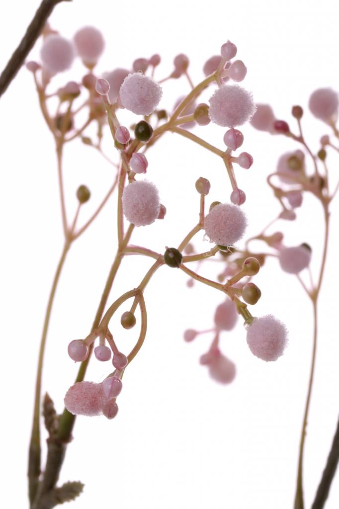 Baby's breath - Branch - Stem - Pink - 66 cm - 4