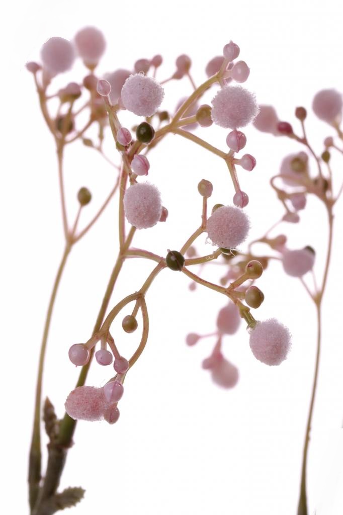 Baby's breath - Branch - Stem - Pink - 66 cm - 3