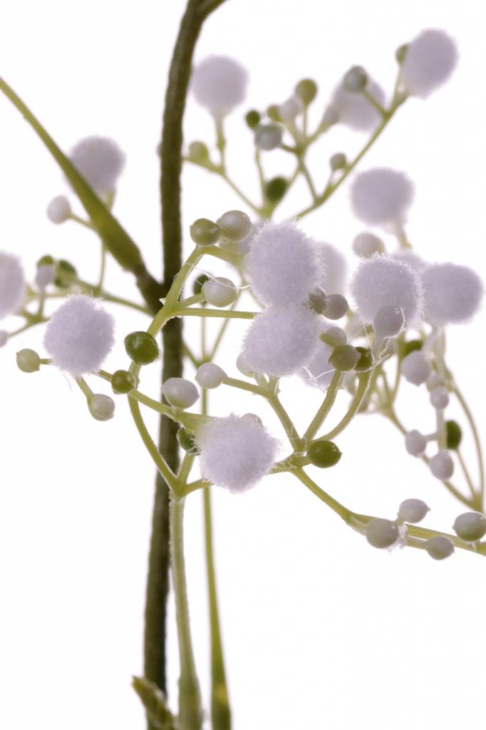 Brudslöja - Kvist - Stjälk - Vit - 66 cm - 3