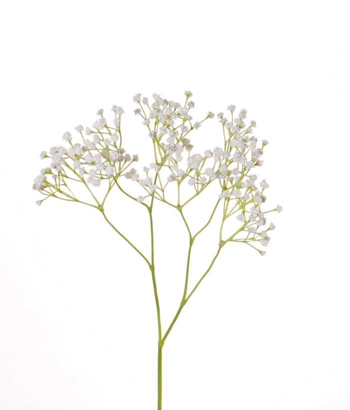 Baby's breath - Branch - Stem - White - 60 cm - 2