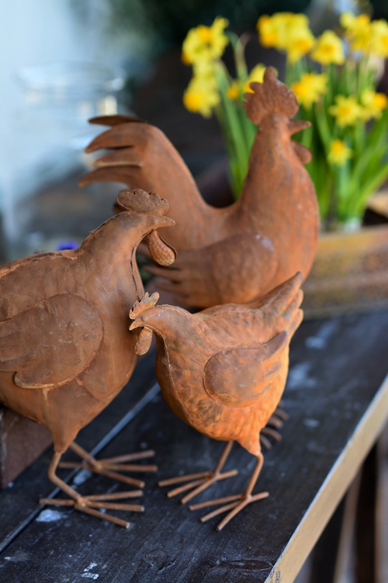 ROOSTER RUST LARGE - 3
