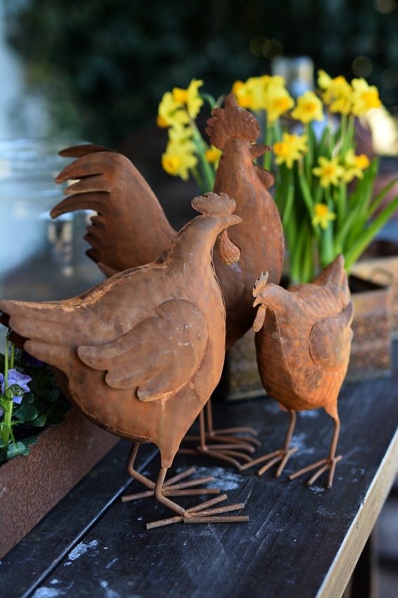 ROOSTER RUST LARGE - 5