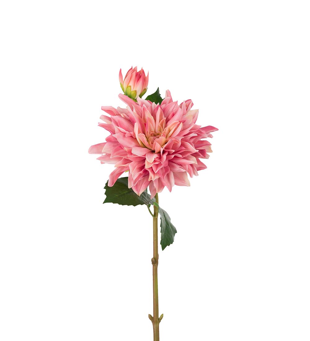 Dahlia - Pink - Real Touch - 70 cm - 2