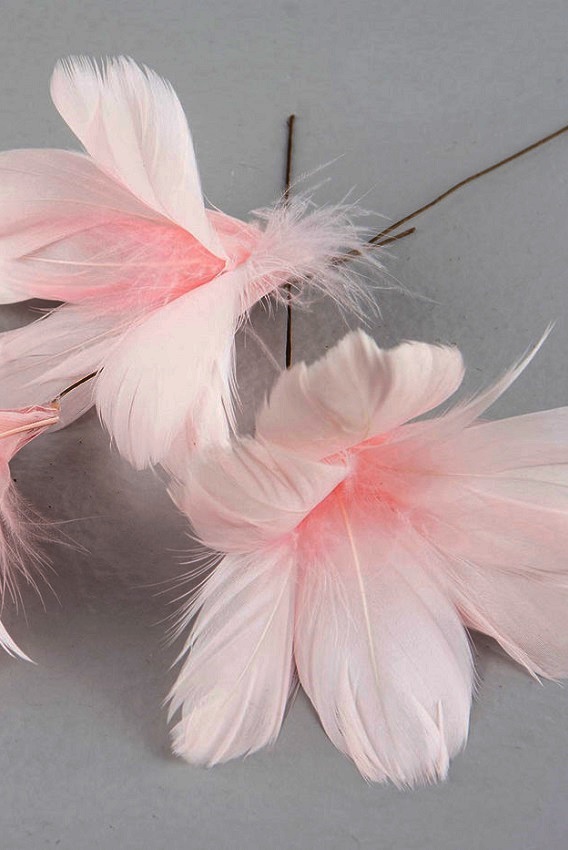FEATHER BOUQUET LIGHT PINK 12-PACK - 2