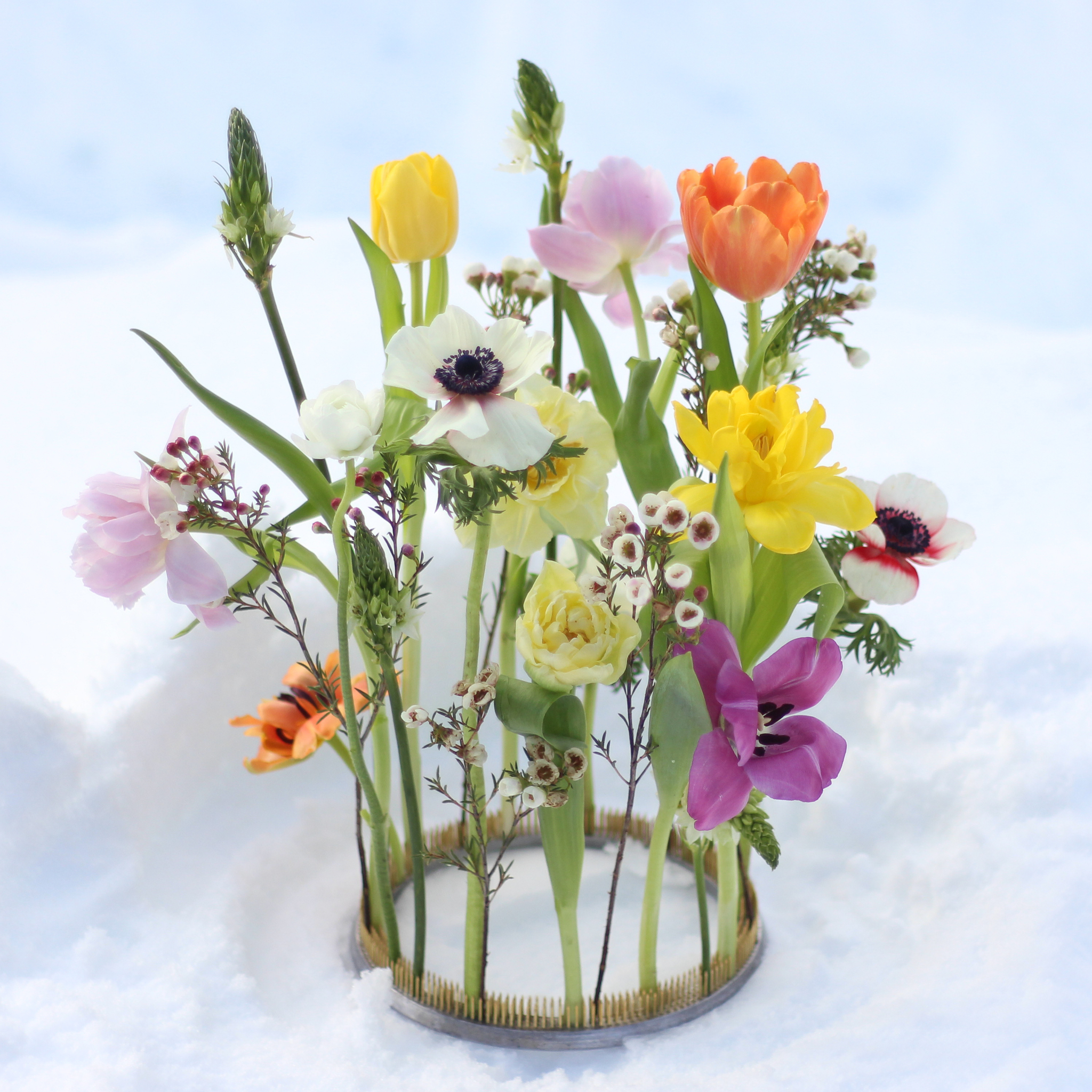 Blomsterfakir - Fakir - Ring - Kenzan - Ø20 cm - 12