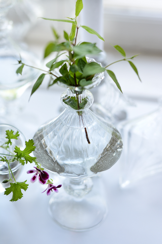 GLASS VASE OLIVIA RAND - 8