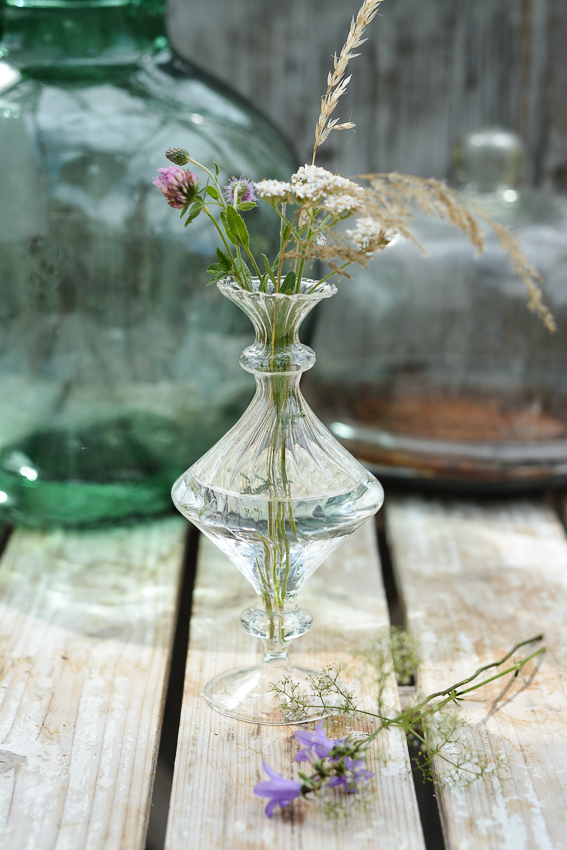 GLASS VASE OLIVIA RAND - 7