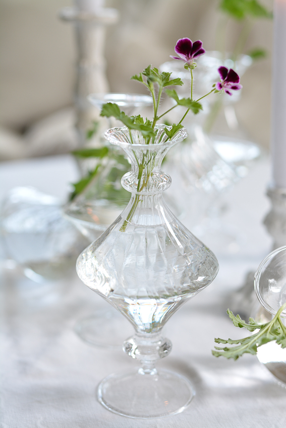 GLASS VASE OLIVIA RAND - 5
