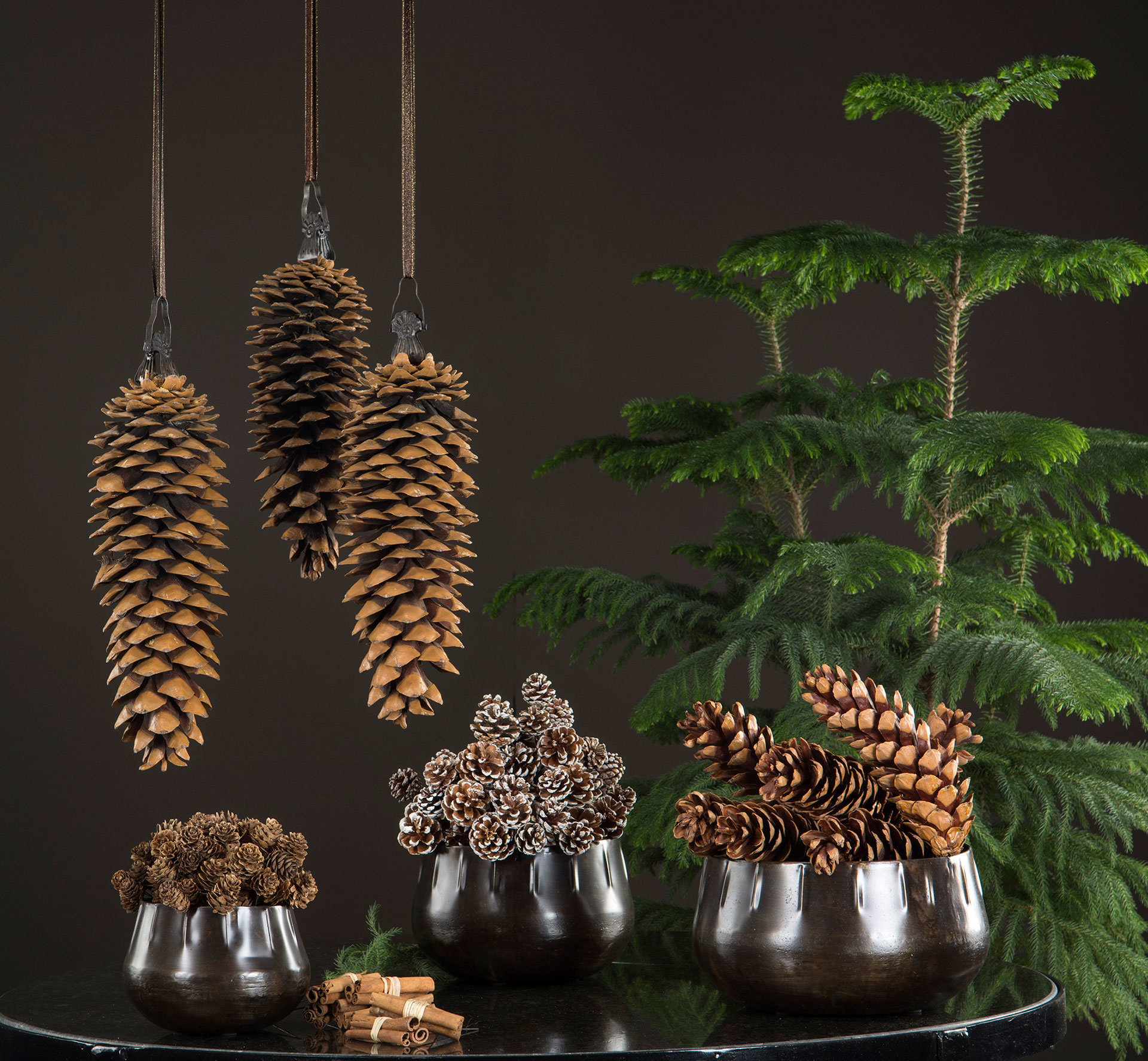 Cinnamon sticks - Bundle/Wire Natural - 8 cm - 9