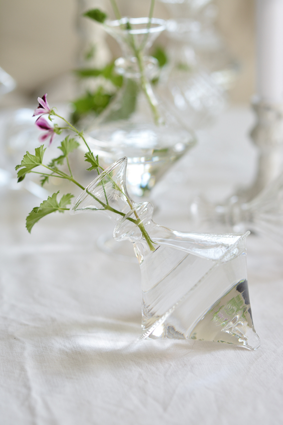 OLIVIA DOT HORIZONTAL GLASS VASE - 4