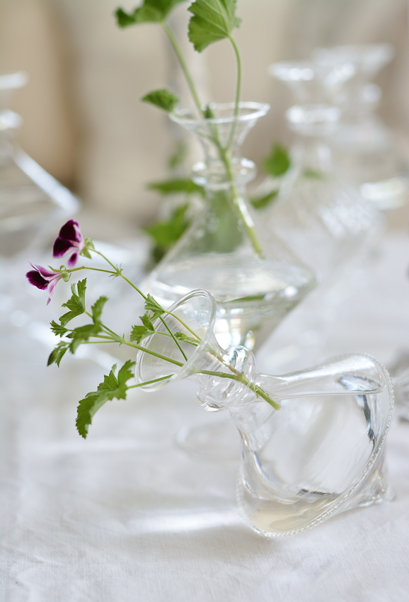 OLIVIA DOT HORIZONTAL GLASS VASE - 5