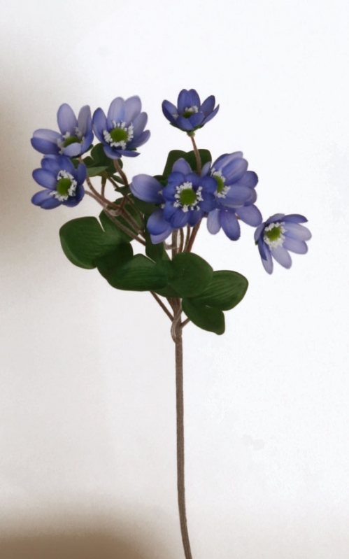 Blåsippa Bukett - Anemon - Blå - Lång Stjälk - 43 cm - 2