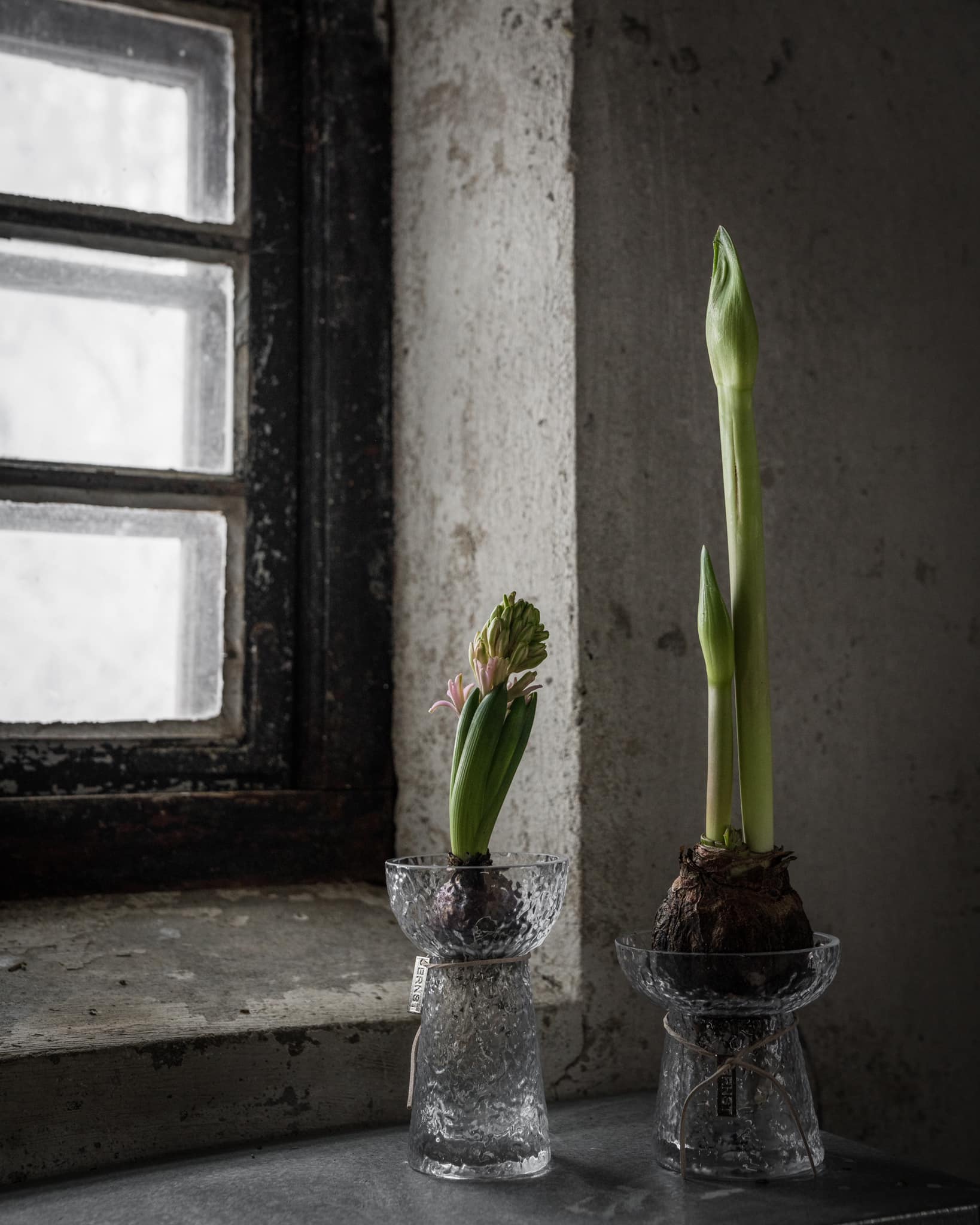 Ernst Lökvas - Hyacinth vase - Low - Patterned - 3
