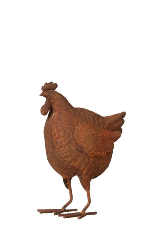 HEN RUST - 21 CM - 4