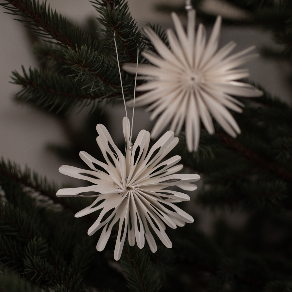 Christmas decoration - Christmas tree decoration - Snowflake - Paper flake - Ø10 cm - DBKD - 2