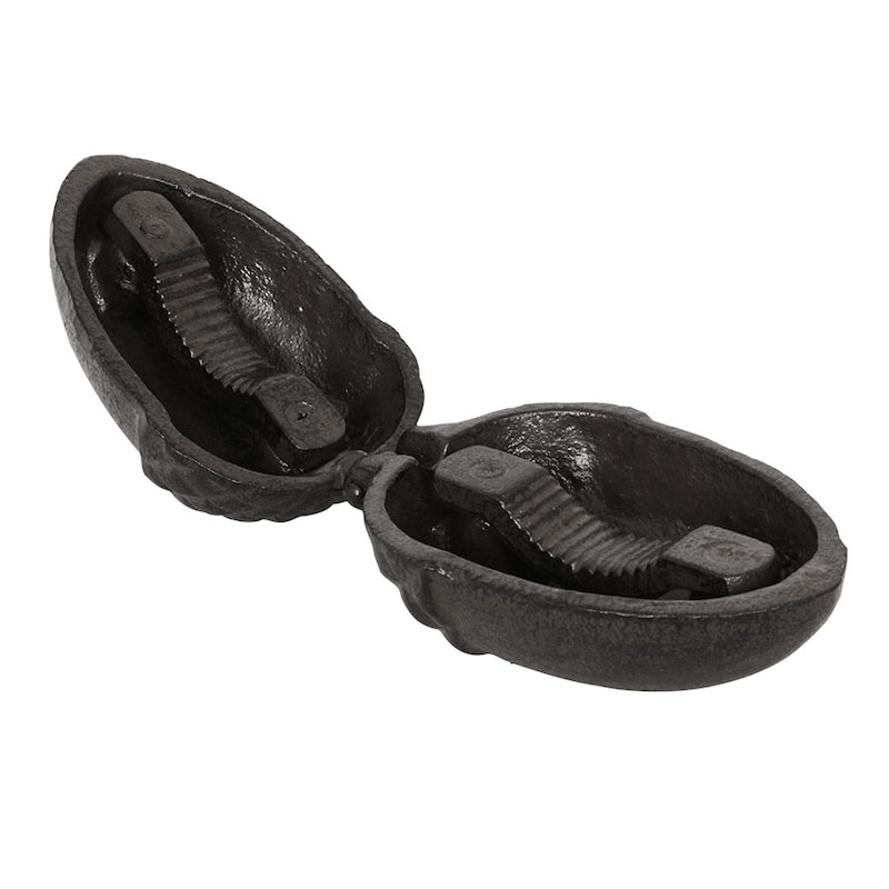 Box Cast iron Acorn with Nutcracker Antique brown - 4