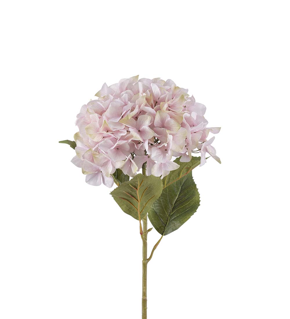 Hydrangea - 110 cm - Pink - 4