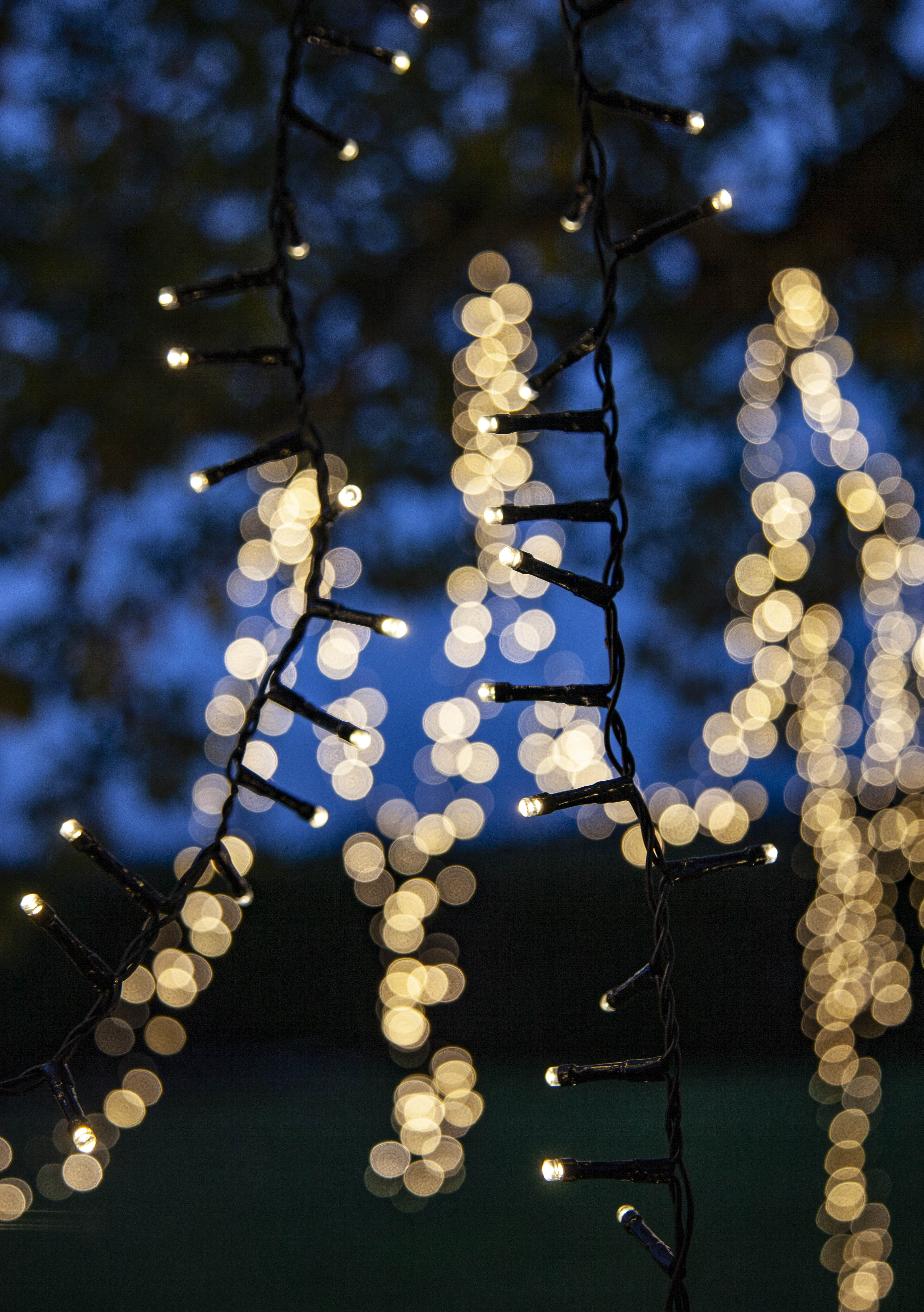 Light string Warm Shiny White - 24 metres - 6
