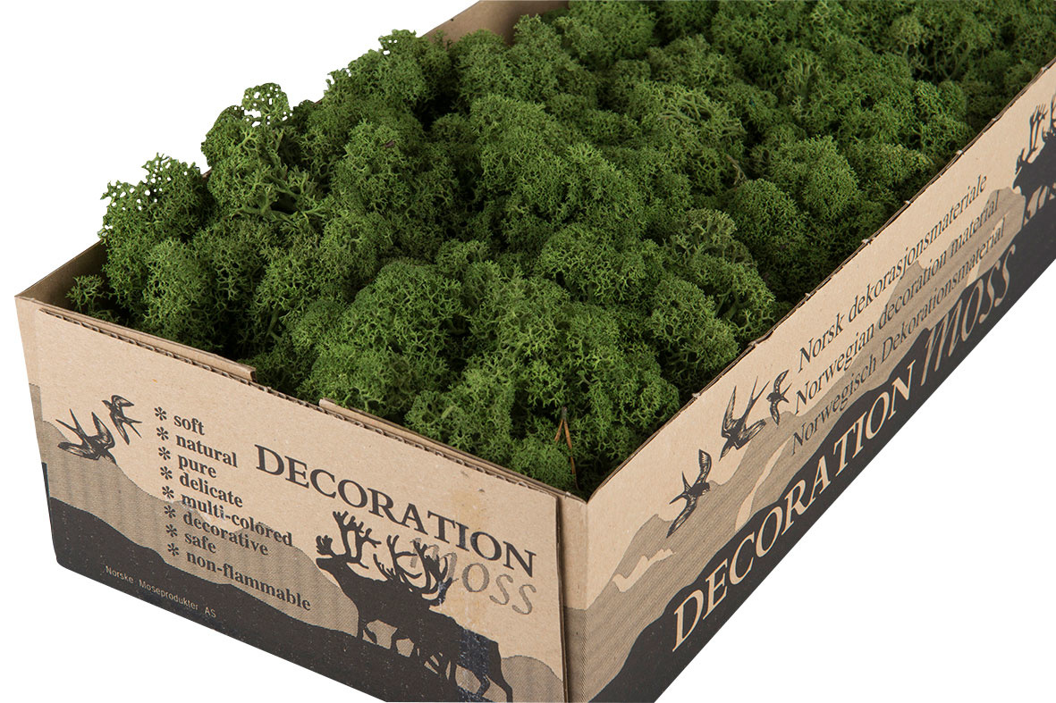 Reindeer Moss - Moss - Dark Green Flame Retardant - 500 grams