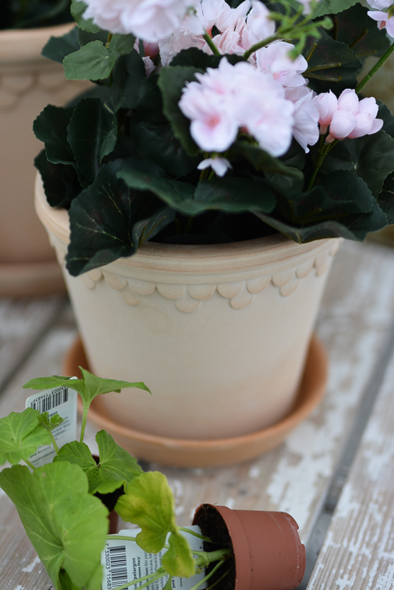 POT WITH SAUCER BERGS POTTER COPENHAGEN LIGHT TERRACOTTA Ø: 21 CM - 4