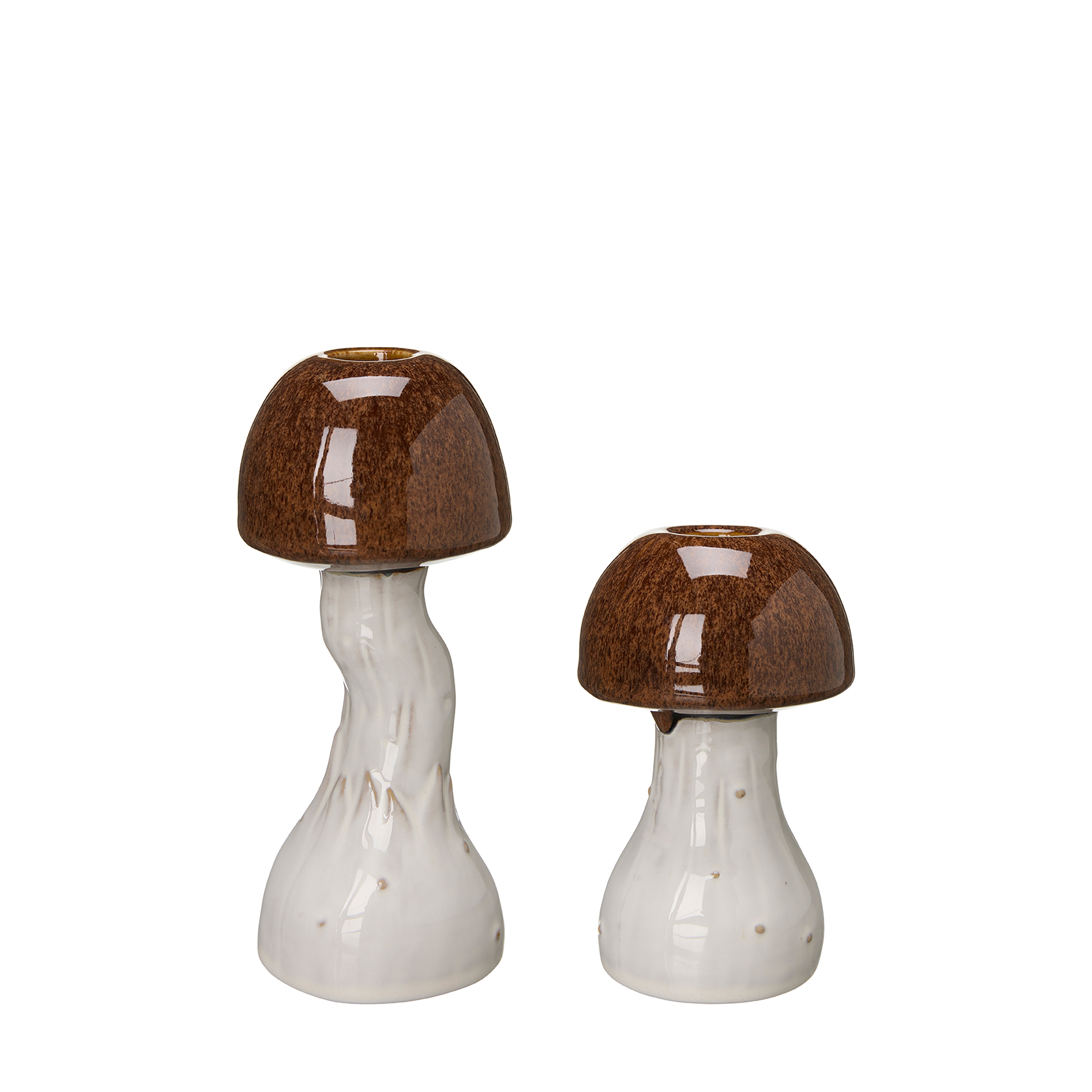 Candlestick Mushroom Brown - Small - 5