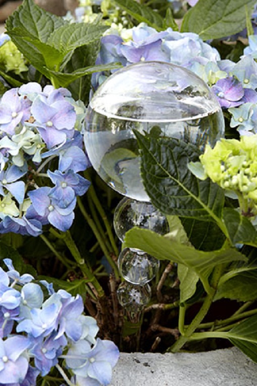 Bevattningsglas - Glas för självbevattning  -  29,5 xØ8,5 cm - 4