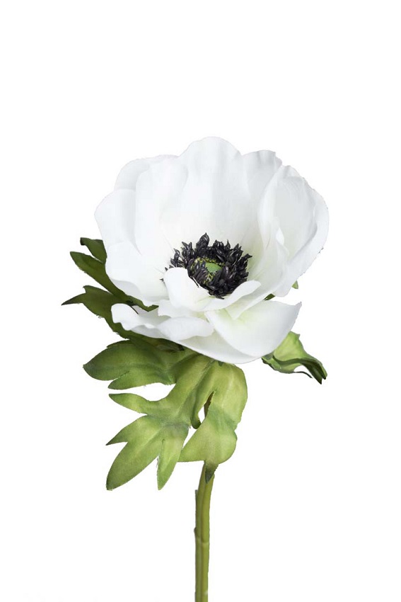 ANEMON STJÄLK SVART/VIT  - 43 CM - SIDENBLOMMOR  - 2