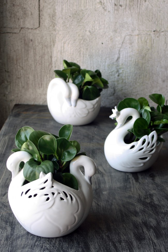 Pot with 2 swans - White - 2