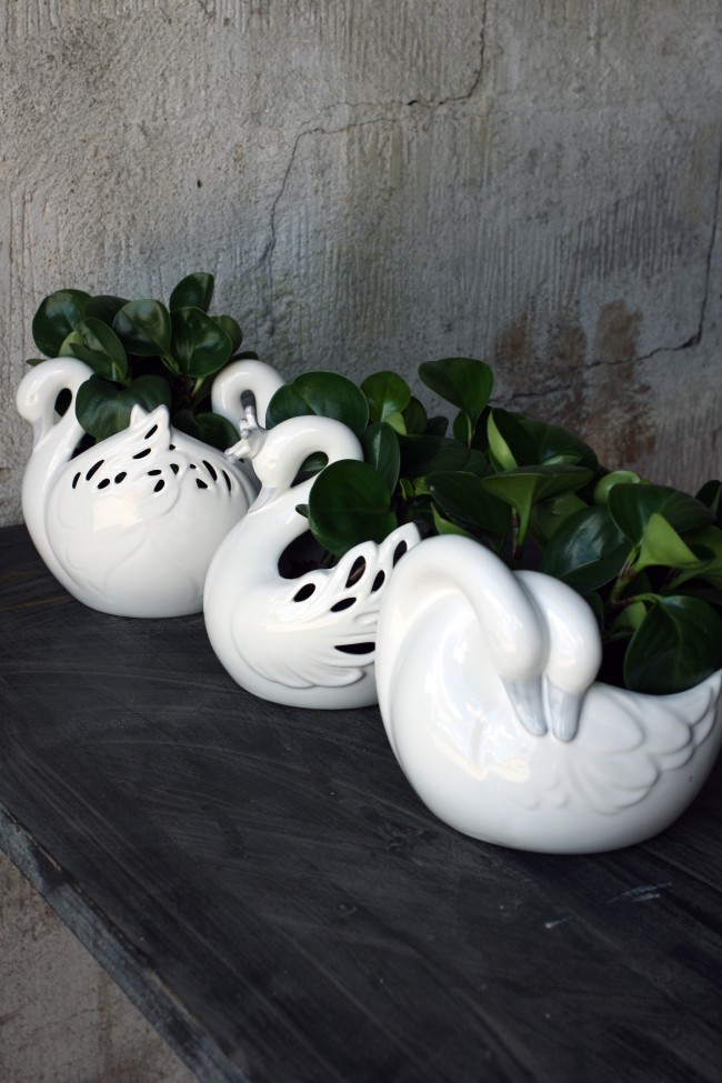 Pot with 2 swans - White - 3