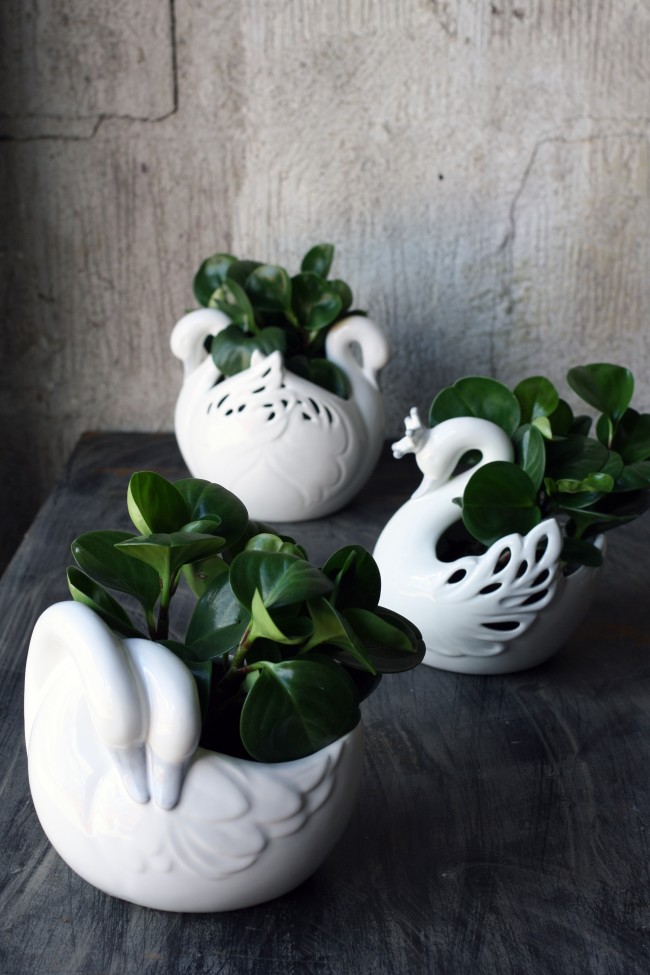 Pot with 2 swans - White - 2