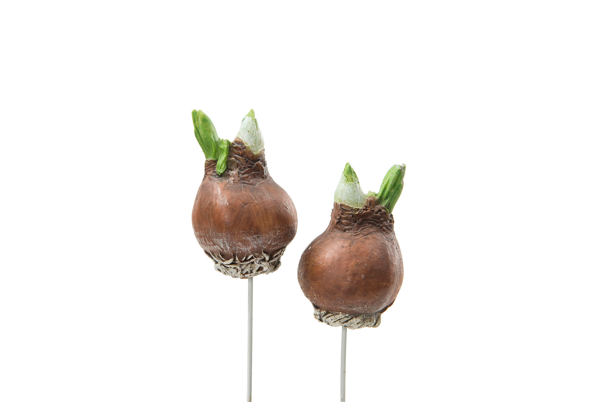 Flower bulb Stick Natural Poly - 6 cm - 2