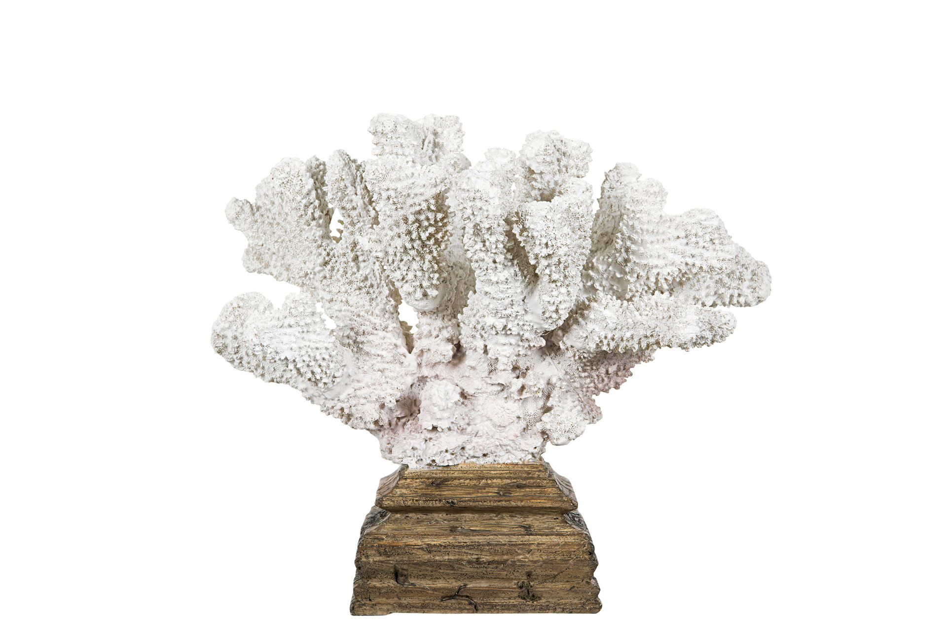 Coral – Statue – Poly – 23x19x28 cm - 3
