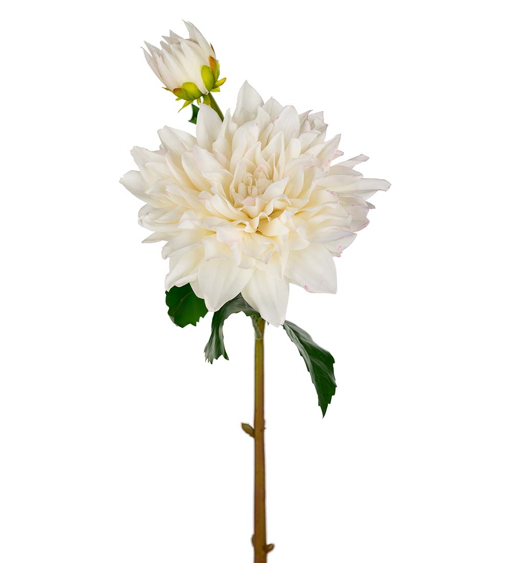 Dahlia - White - Real Touch - 70 cm - 3