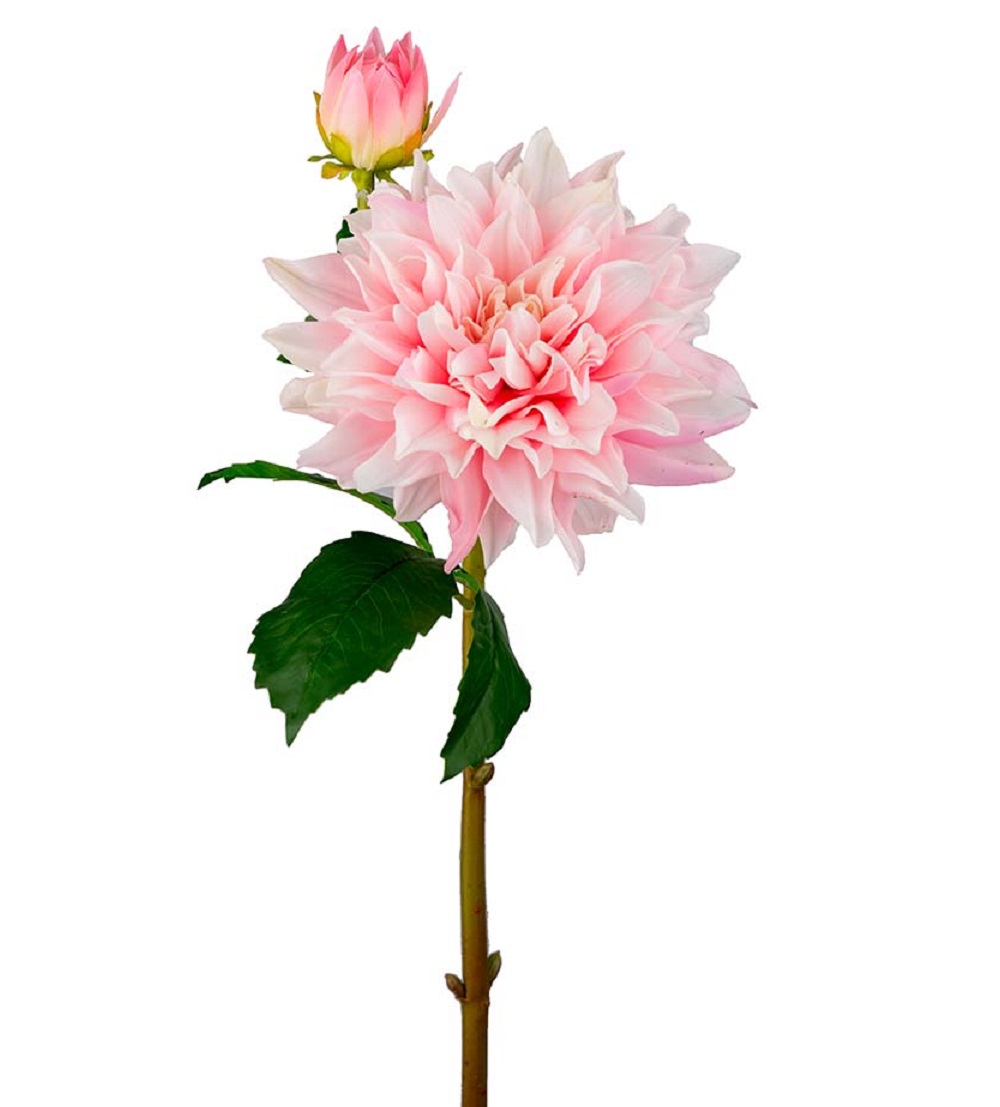 Dahlia - Light Pink - Real Touch - 70 cm - 6