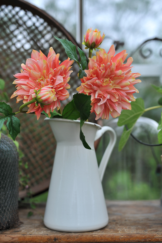 Dahlia - Apricot - Real touch - 70 cm