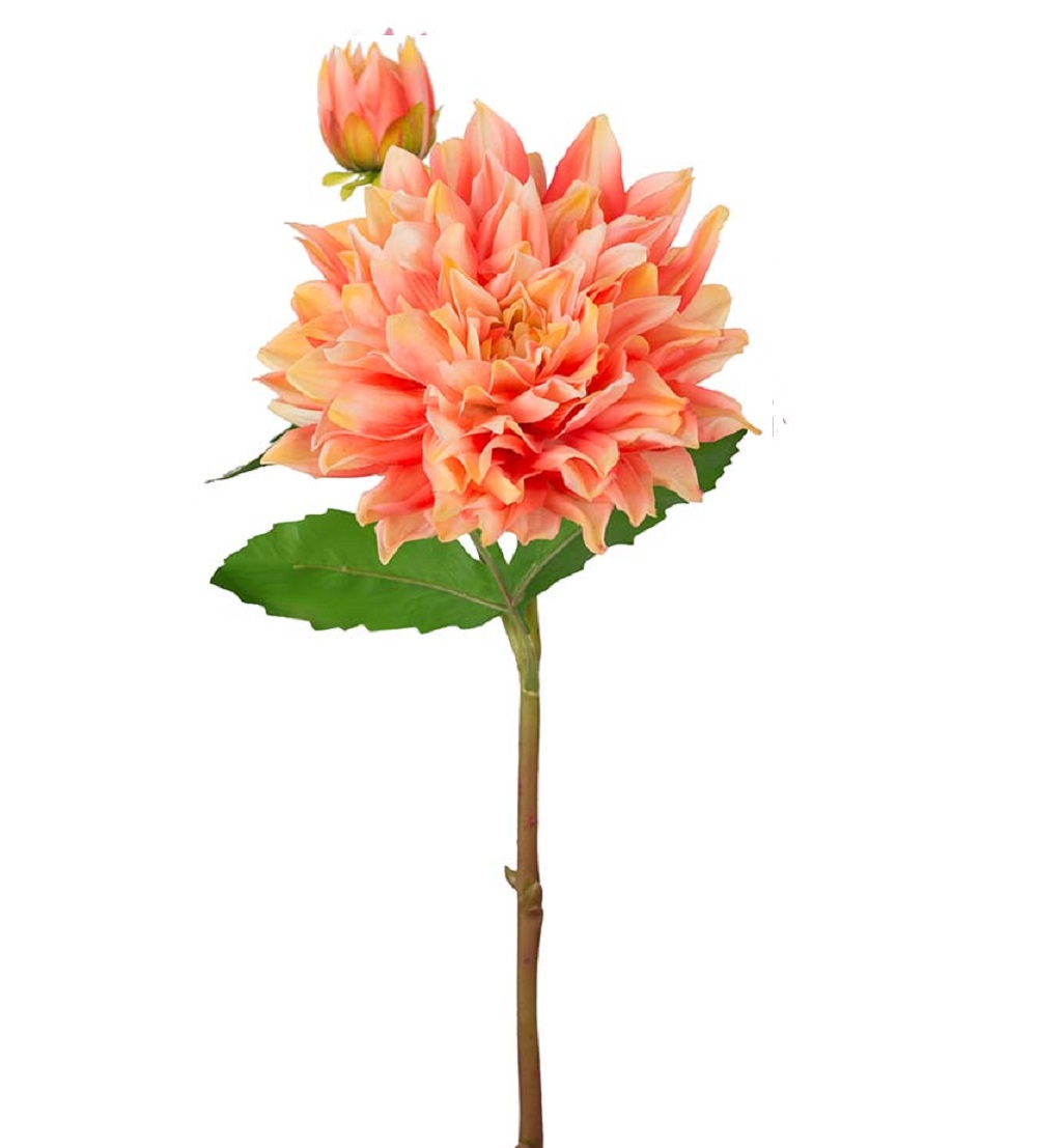 Dahlia- Aprikos - Real touch - 70 cm - 3