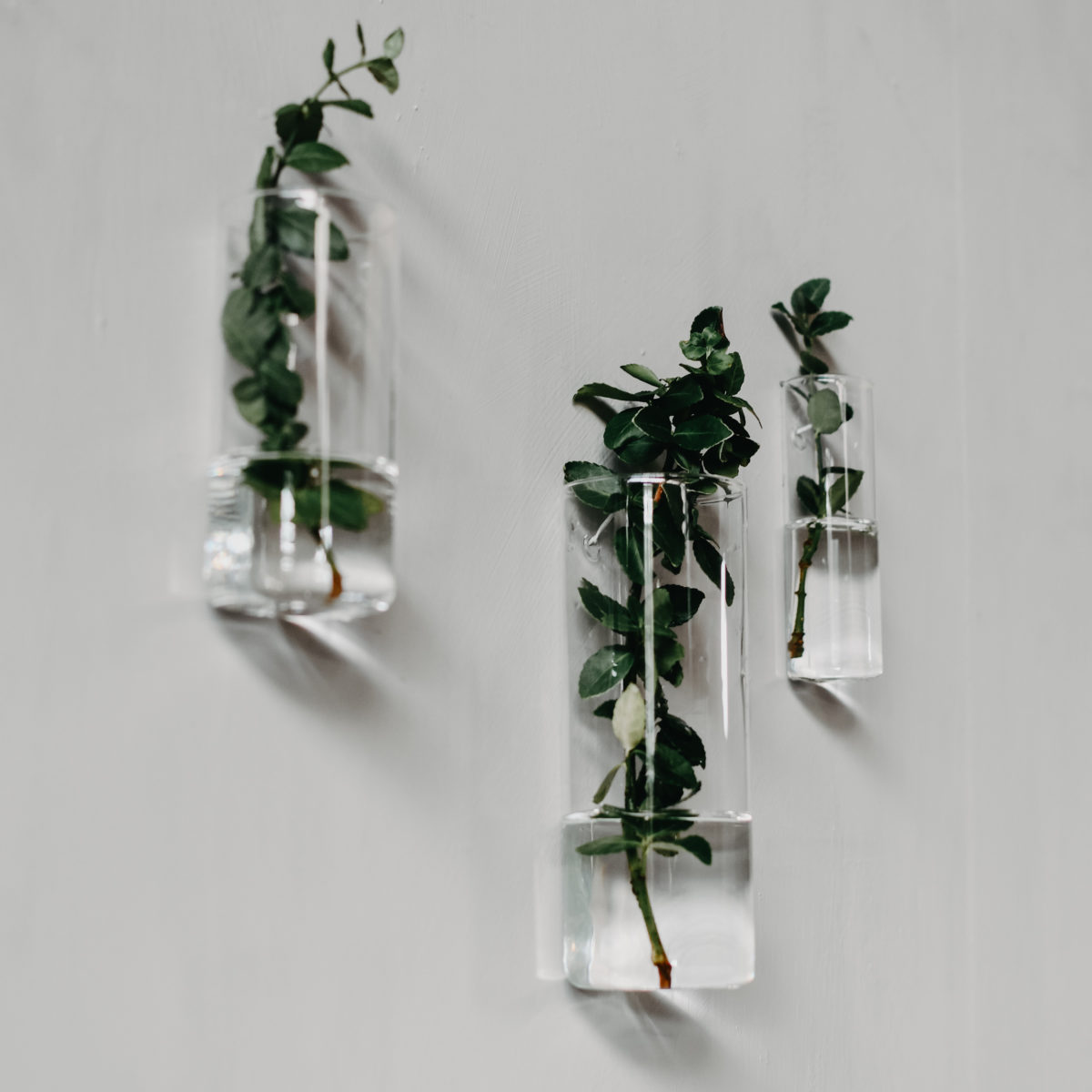 Wall vase - Clear glass vase - 18 cm - 7