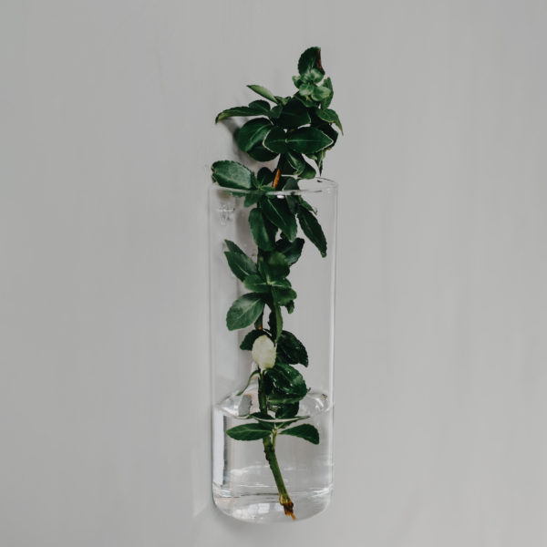 Wall vase - Clear glass vase - 18 cm - 4