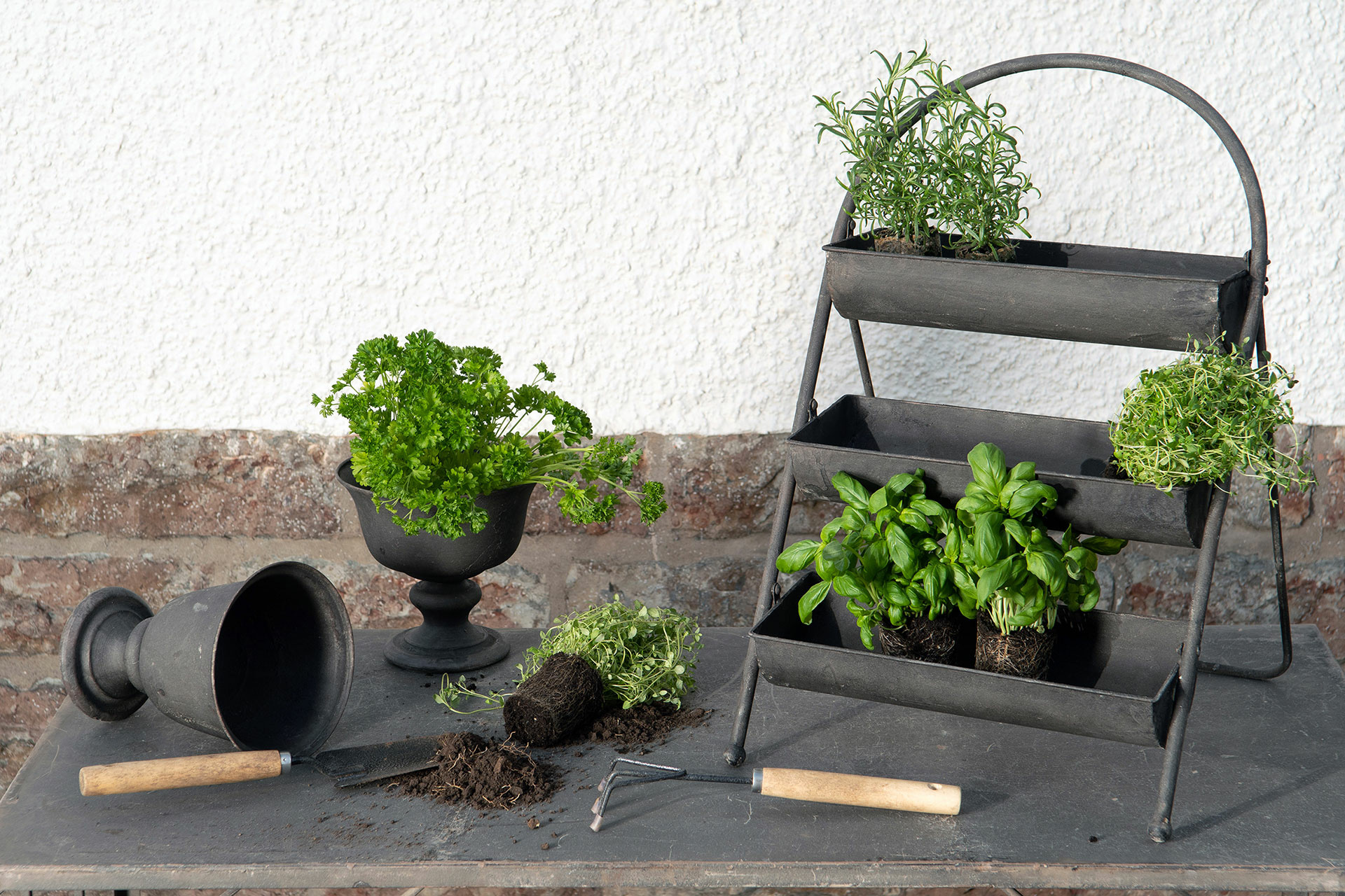 Planting shelf Standing Metal - 39x14.5x68 cm - 6