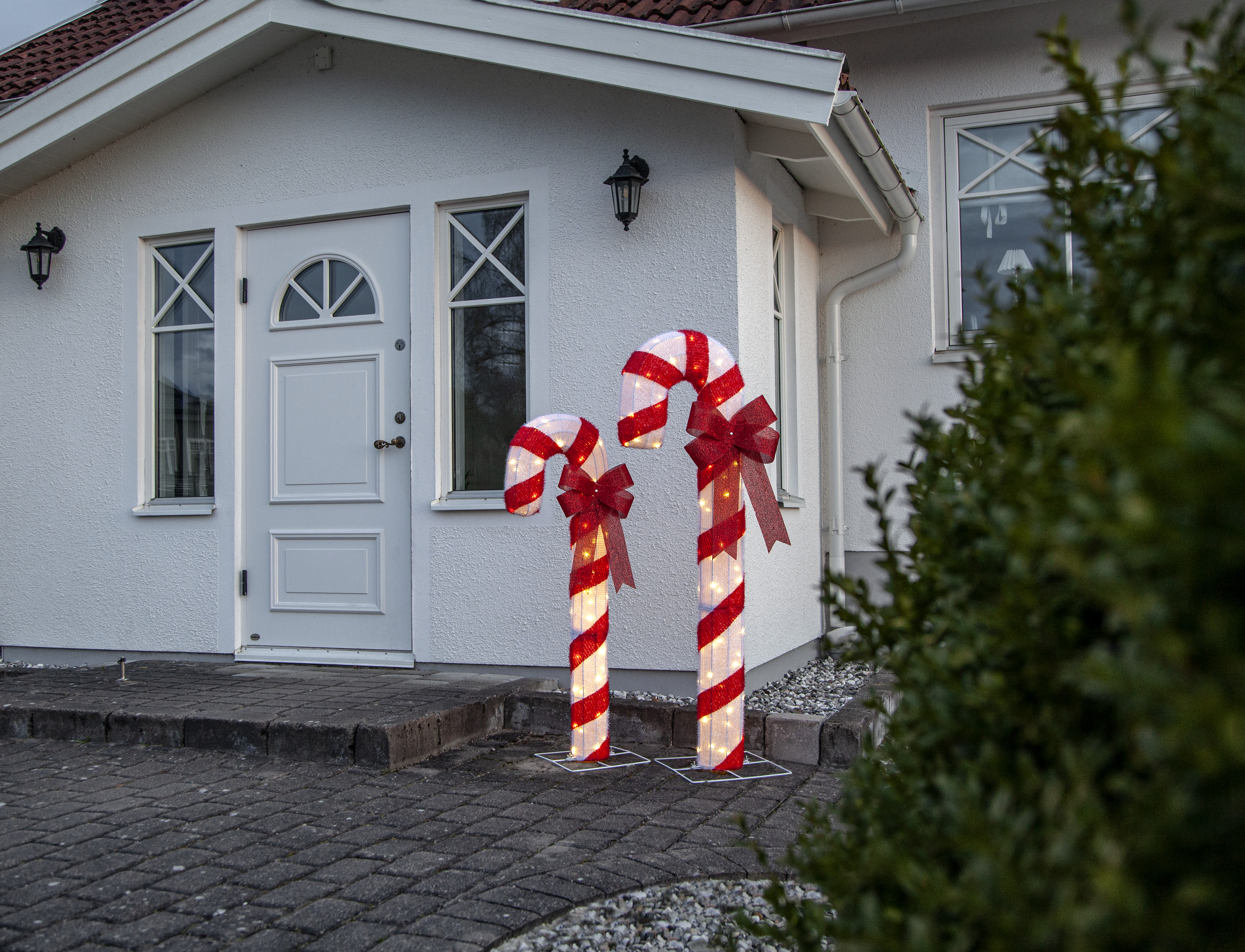 Utomhusdekoration - Polkagriskäpp - 150x60 cm - 4