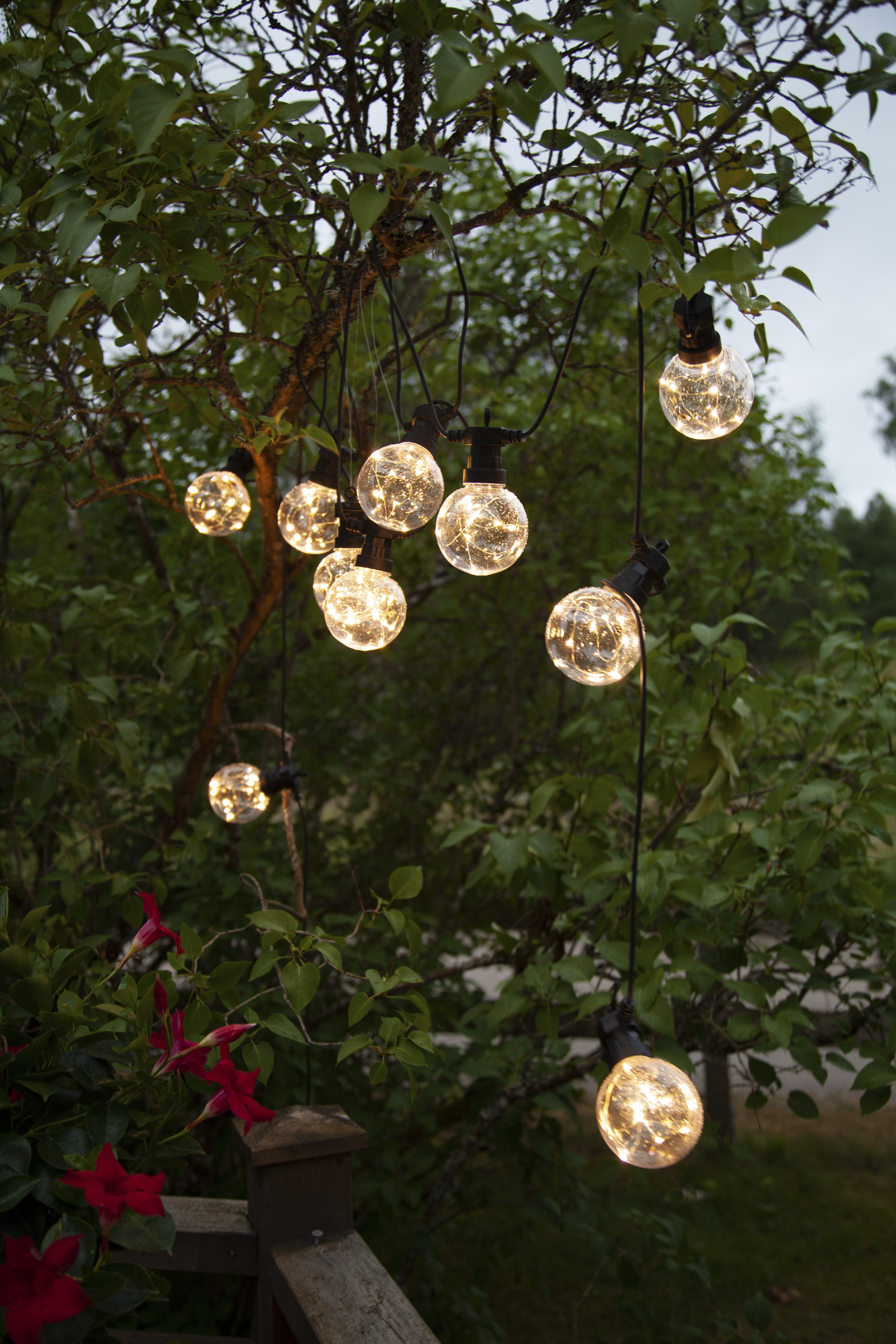 Big Circus string lights - 4.5 metres - 14