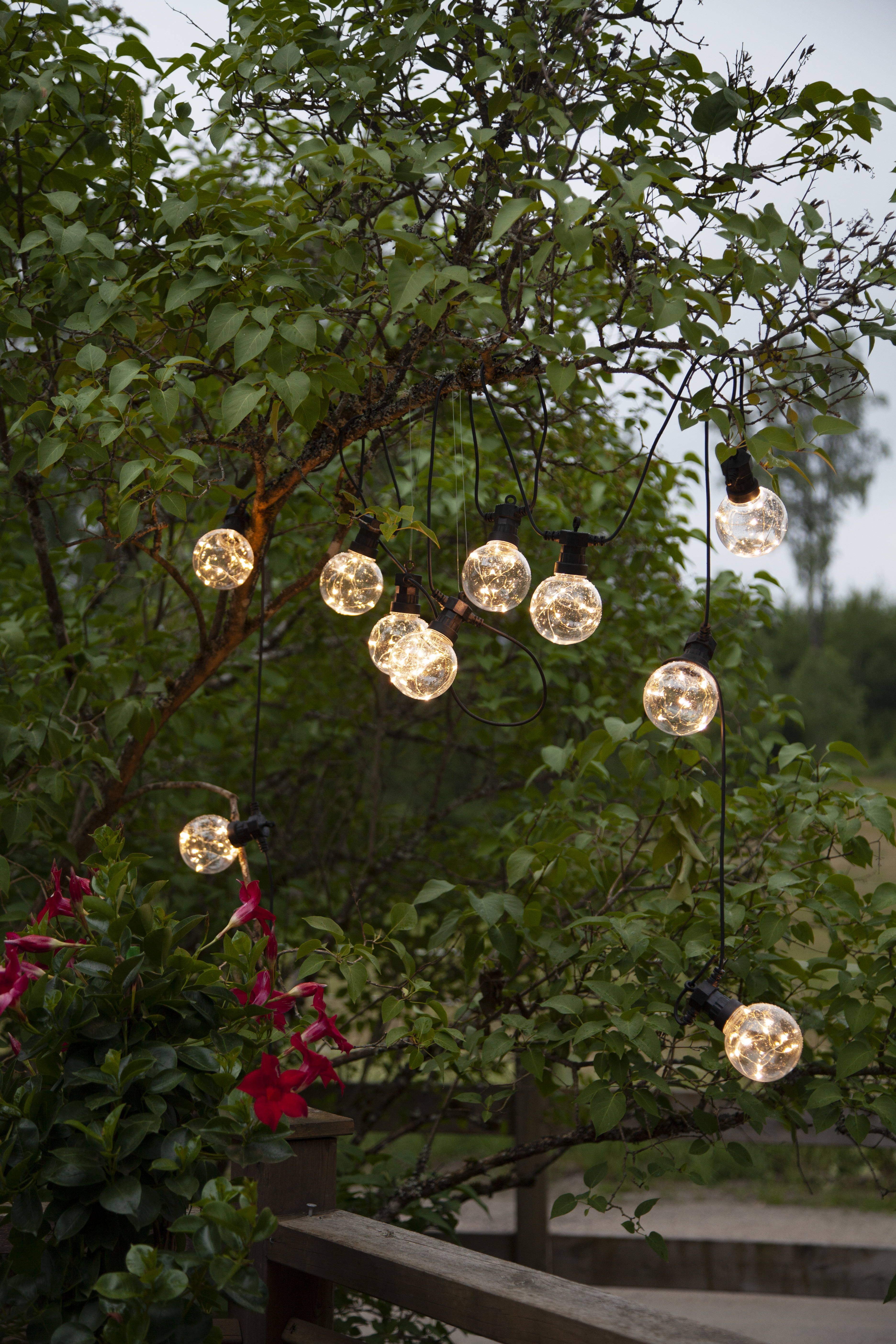 Big Circus string lights - 4.5 metres - 15