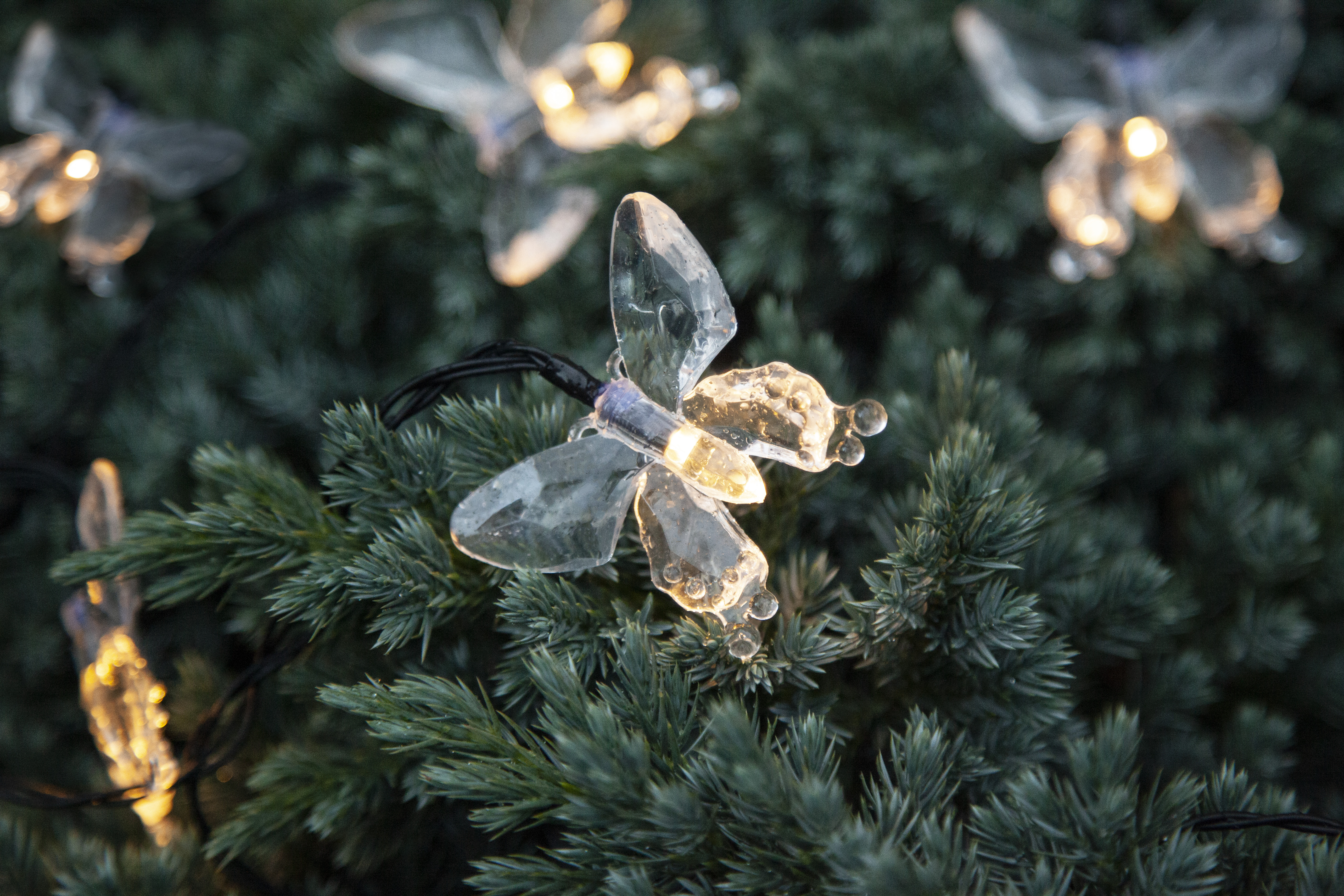 Solar light string - Solar string with butterflies - 3